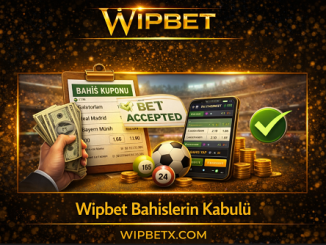Wipbet spor ve casino bahis kabul politikası